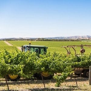 Rural Funds founder snaps up more shares as Bonitas turns up the heat Rural Funds founder snaps up more shares as Bonitas turns up the heat